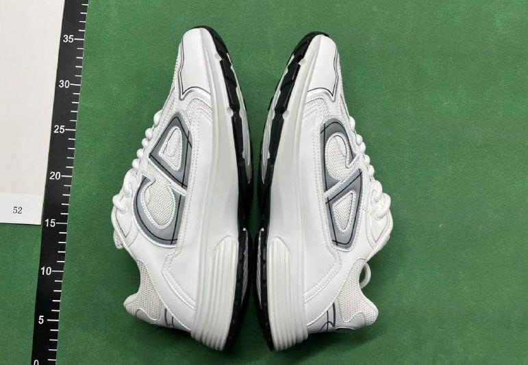  Dior B22 Sneakers [33 styles]