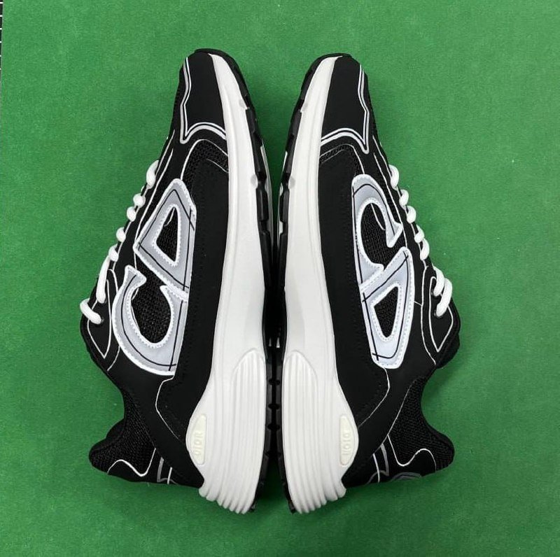  Dior B22 Sneakers [33 styles]