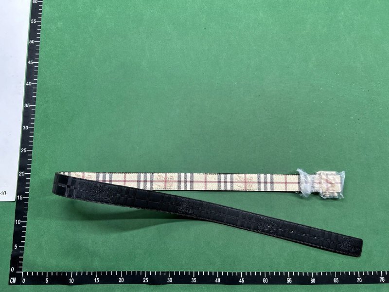 Burberry Monogram Check Belt [34 styles]