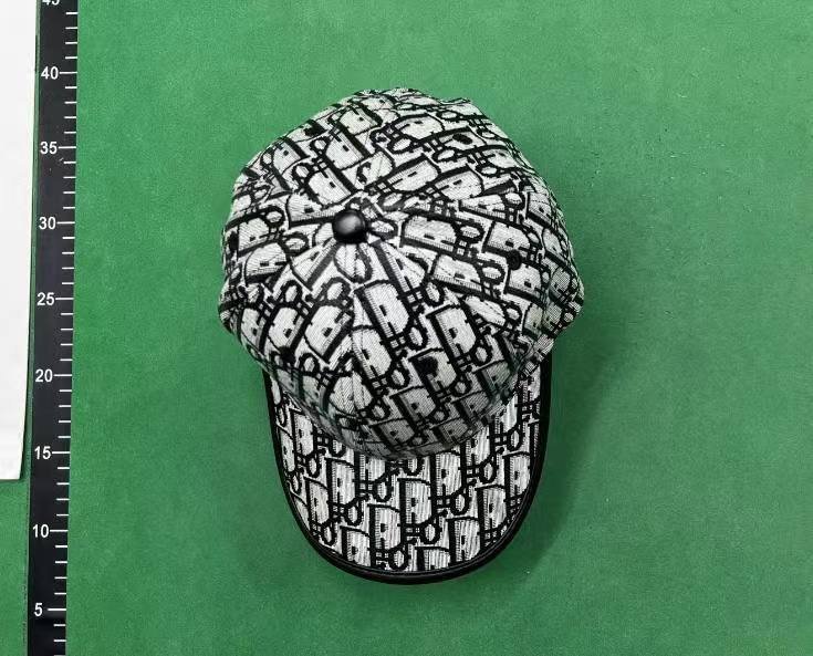 Dior Oblique Baseball Cap [13 styles]