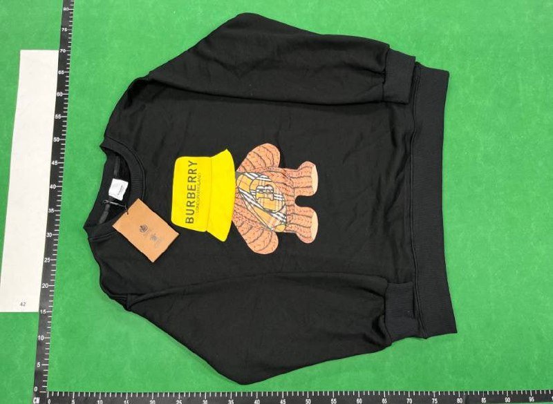  Burberry Hoodies [40 styles]