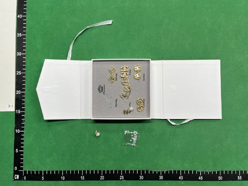  Gucci GG Supreme Earrings [29 styles]