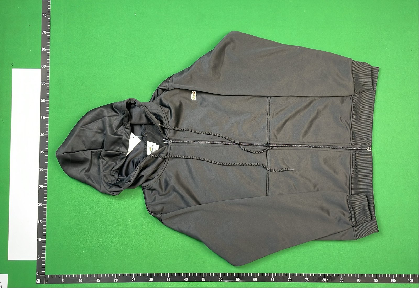  Lacoste Hooded Sweatshirt and Pants Set - Casual Tracksuit [36 styles]