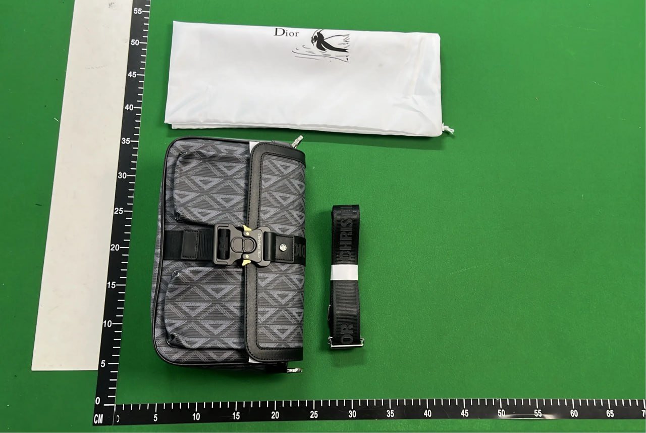 Dior Oblique Crossbody Bag [37 styles]