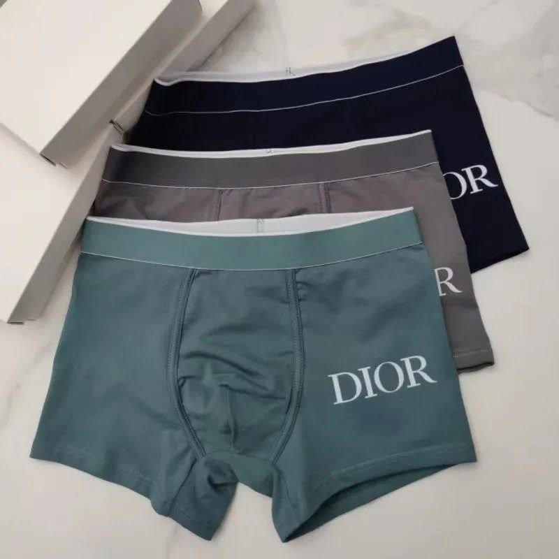 Dior Floral and Solid Underwear [29 styles]
