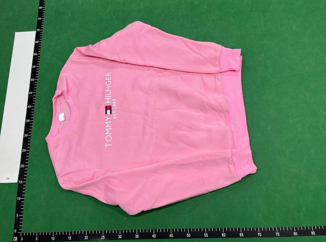  Tommy Hilfiger Logo Hoodie [26 styles]