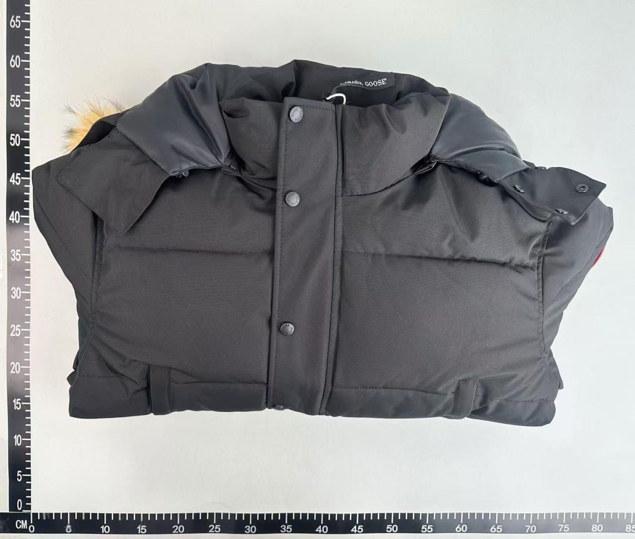 Canada Goose Coat