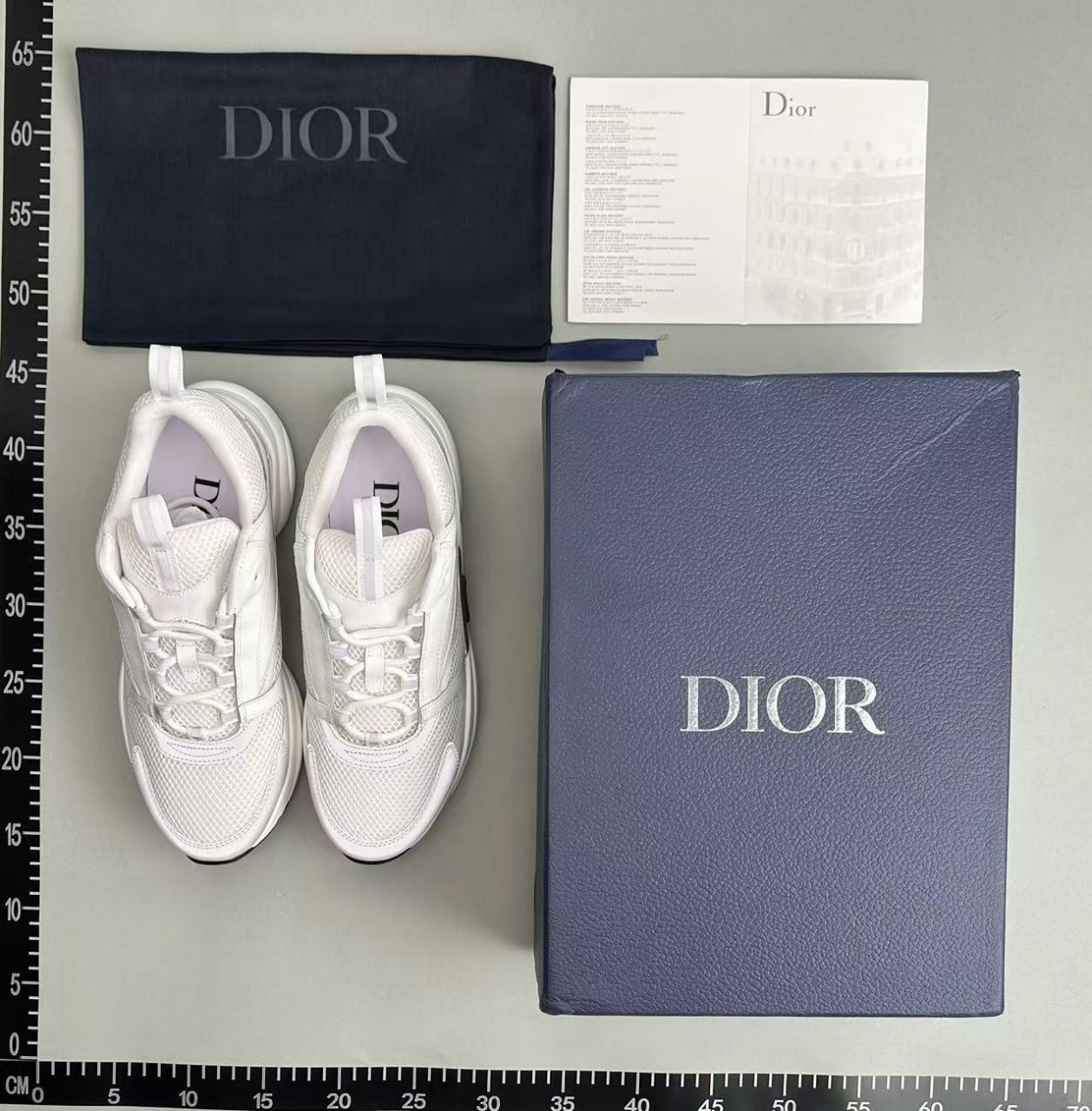 Dior B22