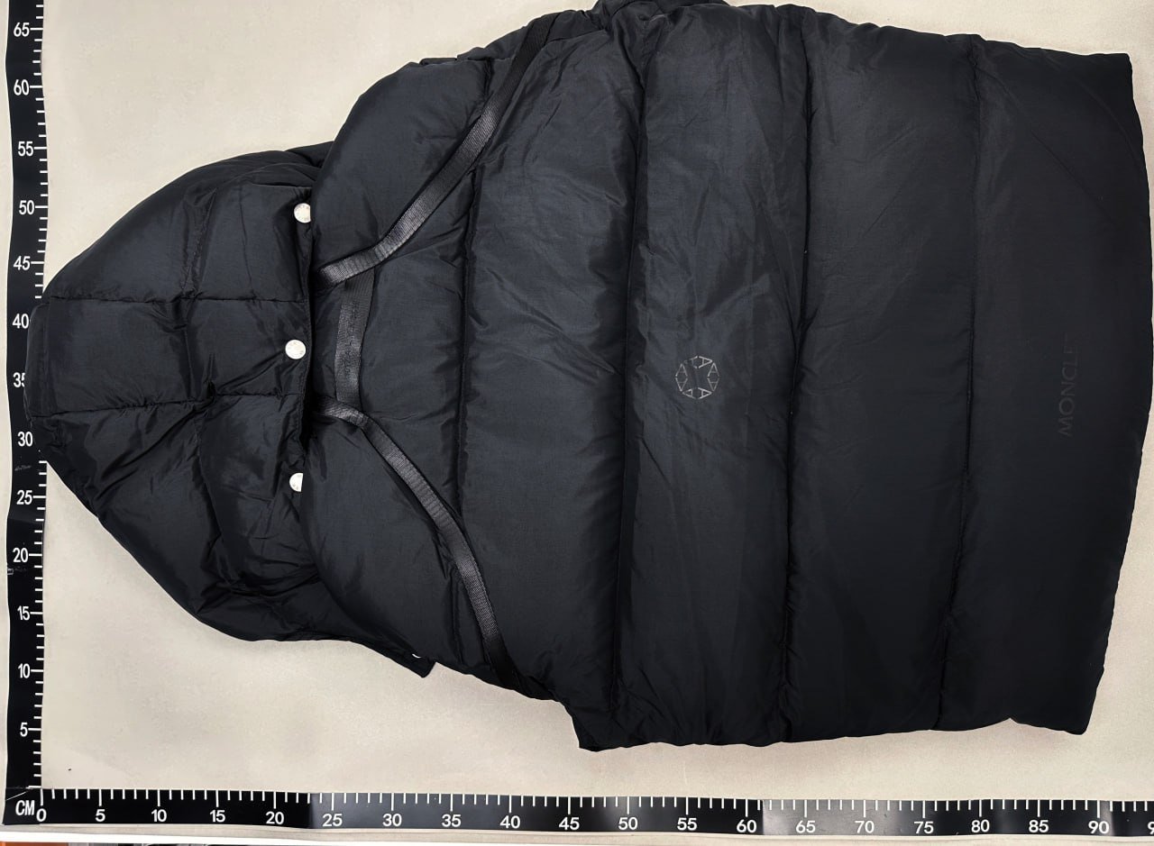 Moncler Genius Down Jacket