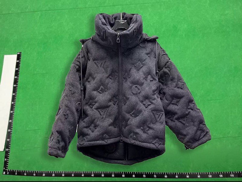 Louis Vuitton LV down jacket