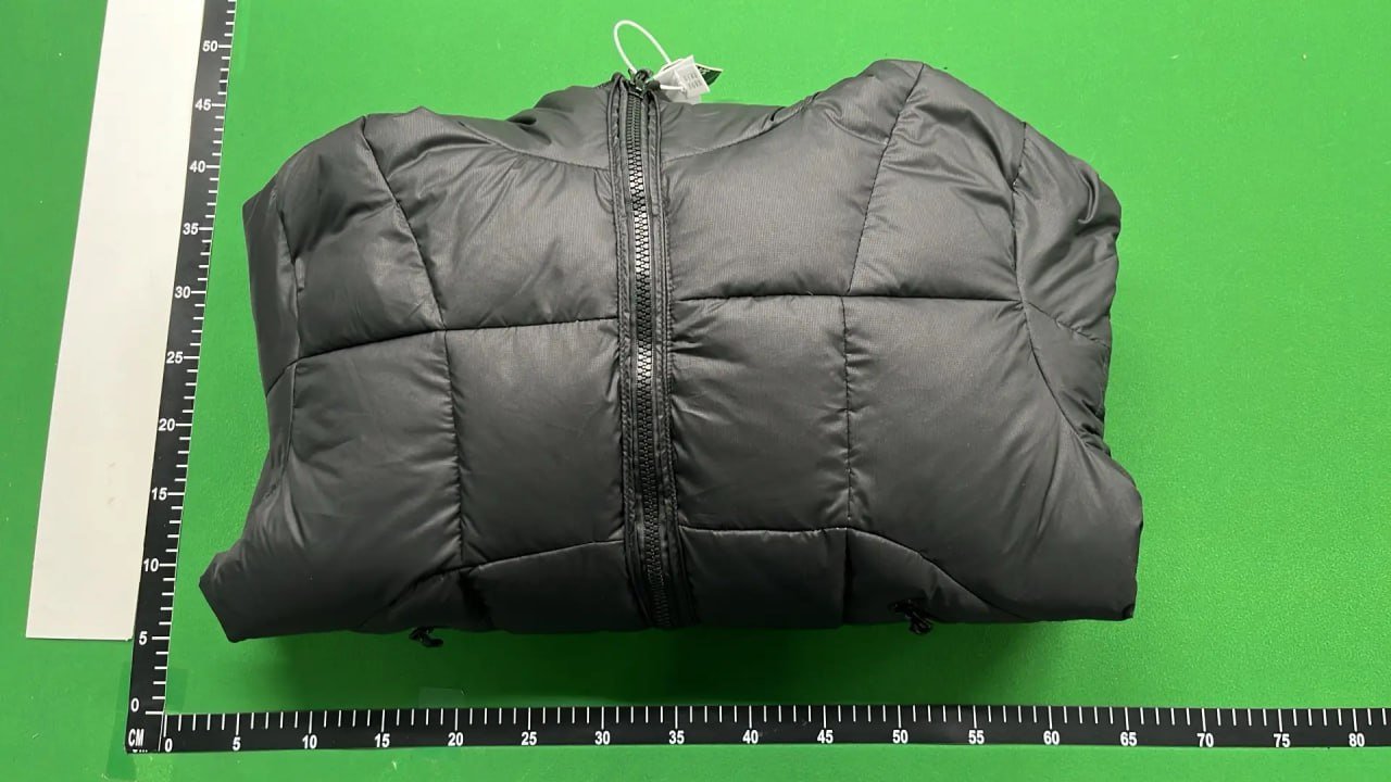 Palace Puffer