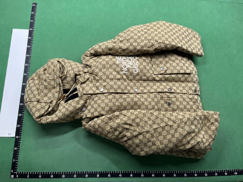 The North Face x Gucci Puffer