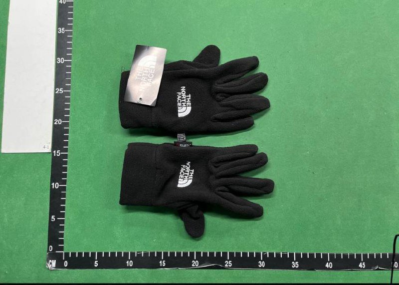 The north face gloves