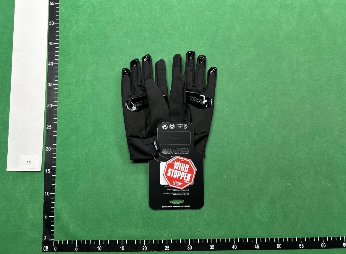 The north face gloves