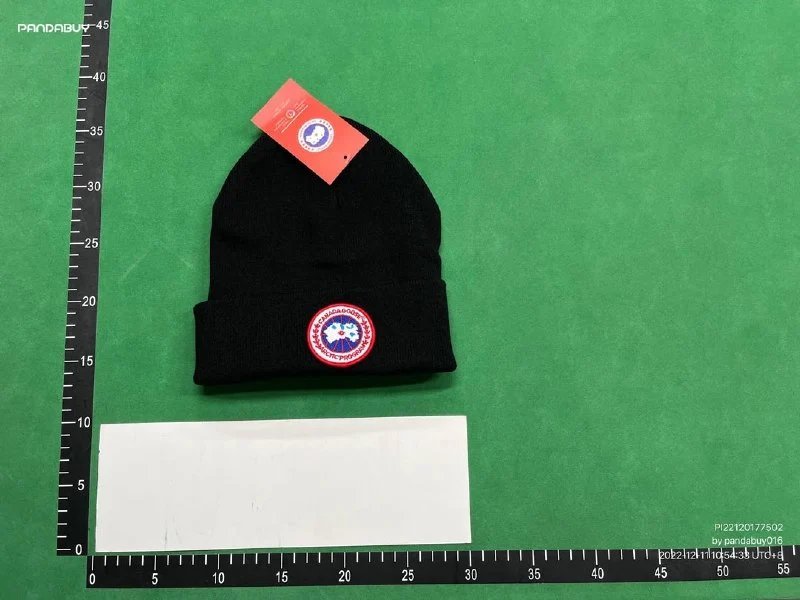 Canada Goose/DSQ2 Beanie（38+ Styles）