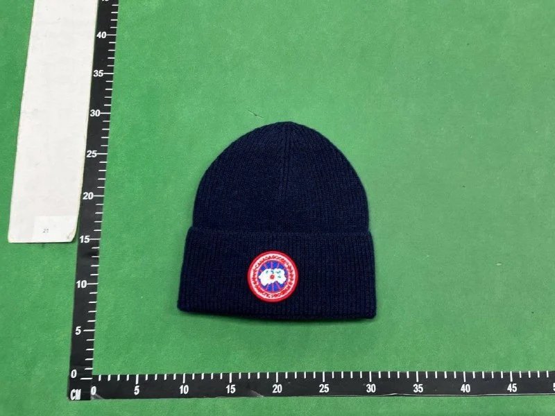 Canada Goose/DSQ2 Beanie（38+ Styles）