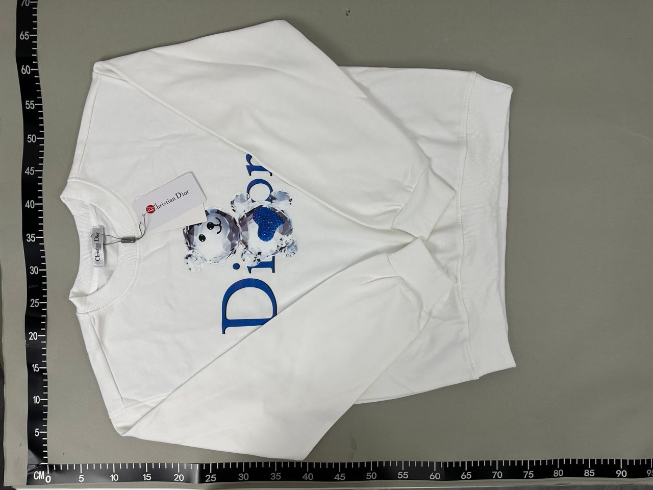 Dior Hoodie