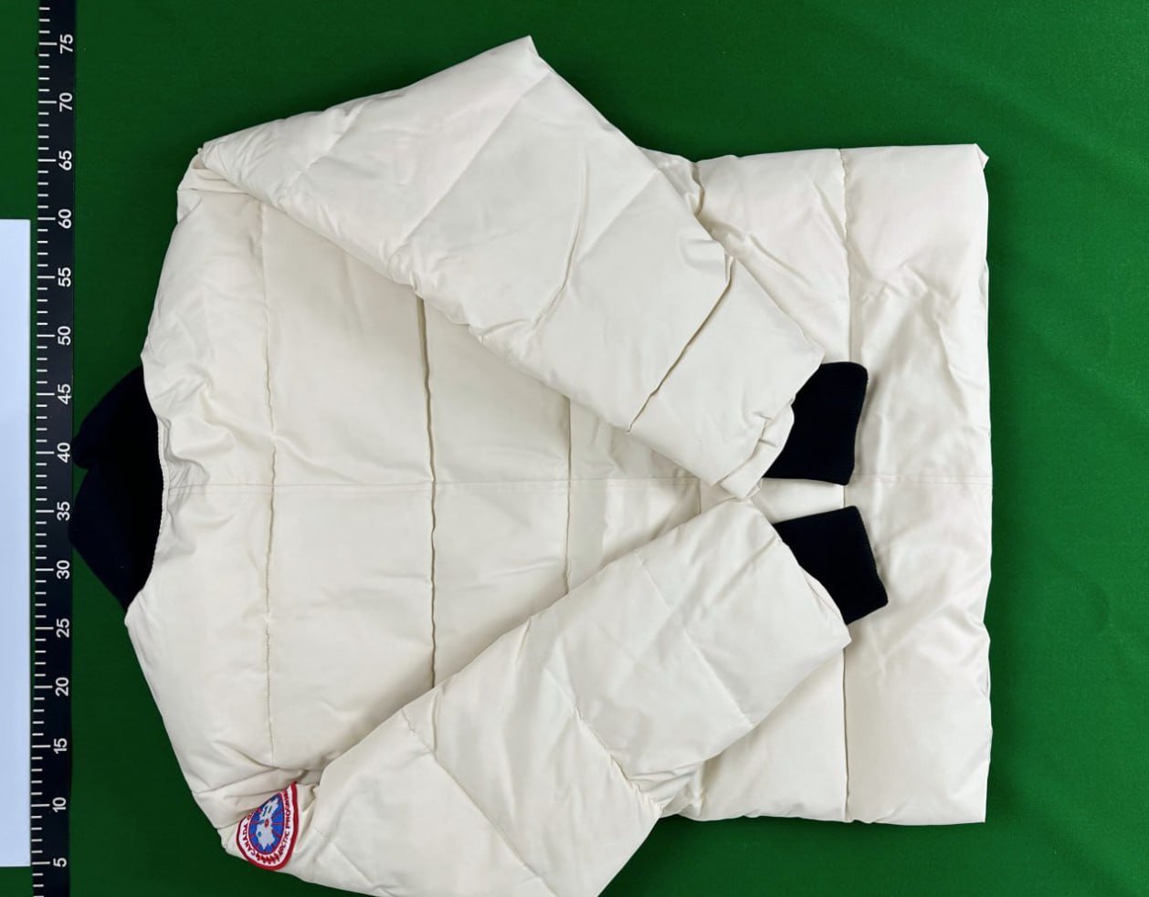 Canada Goose Puffer