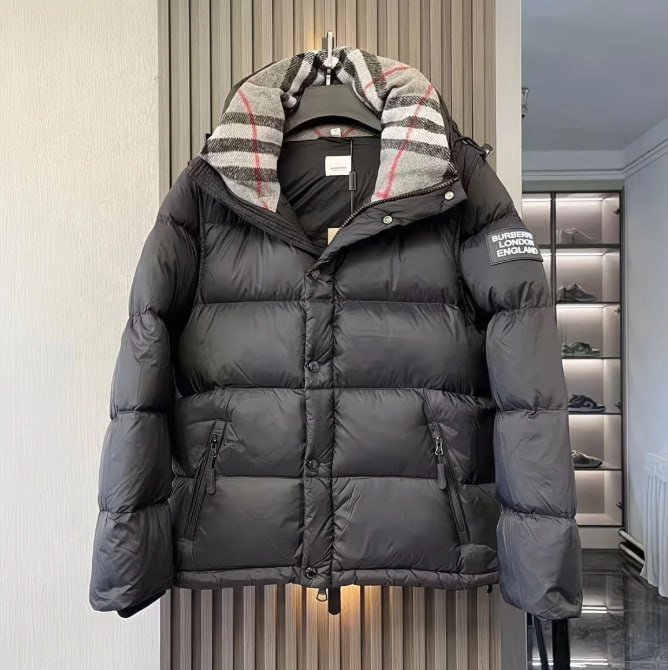 Goose & Burberry  down jacket