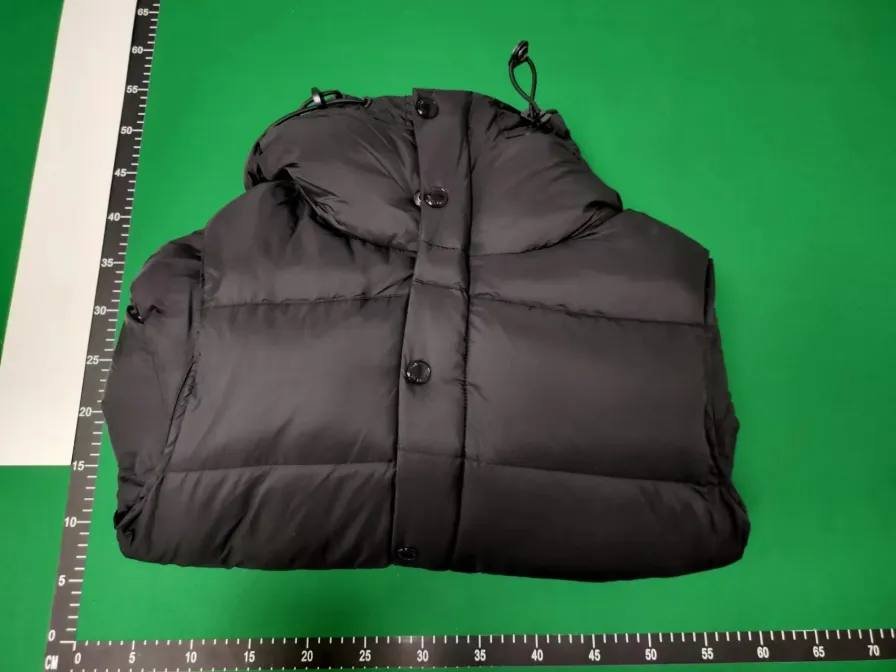 Goose & Burberry  down jacket