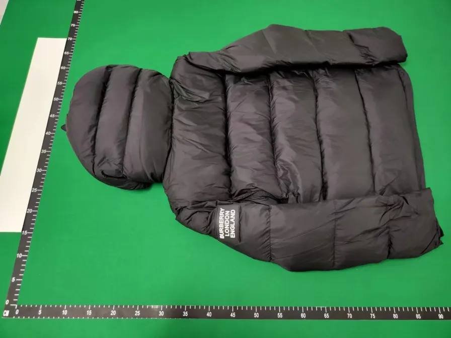 Goose & Burberry  down jacket