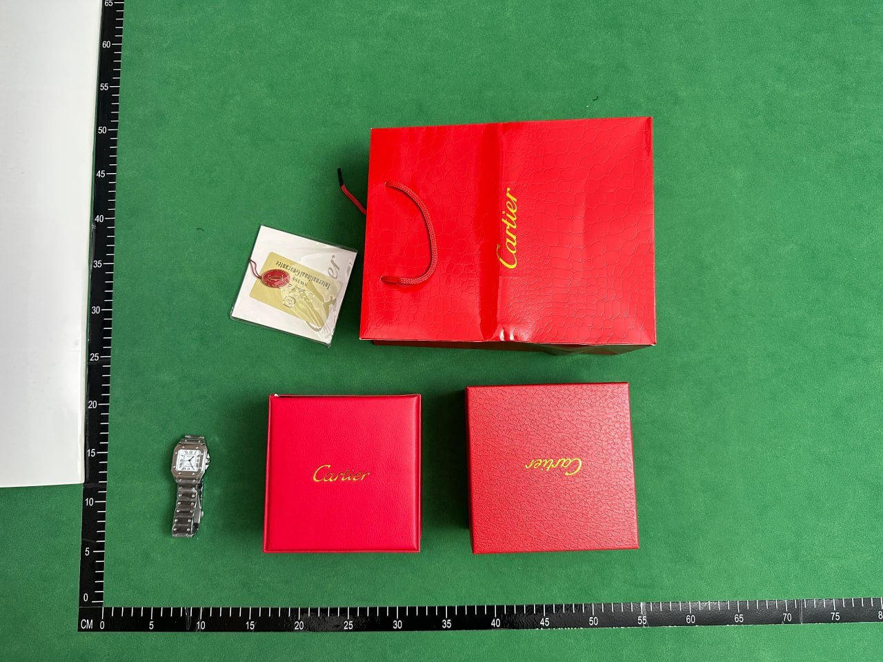 Cartier Panthère & Santos Watch [40 styles]