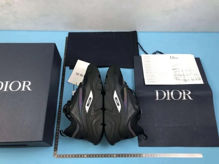 ZW-1Dior b22b27Loewe