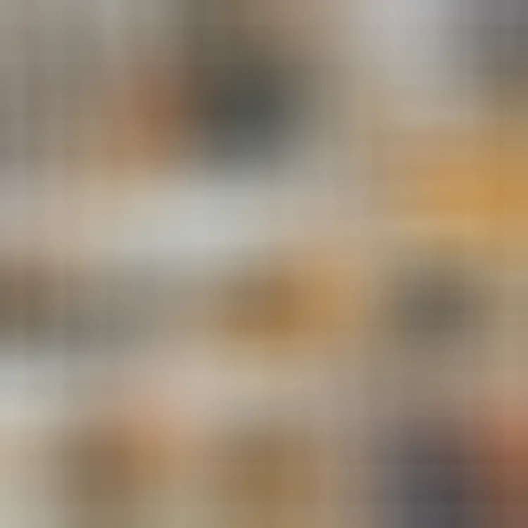  Louis Vuitton LV Messenger Genuine Leather Bag