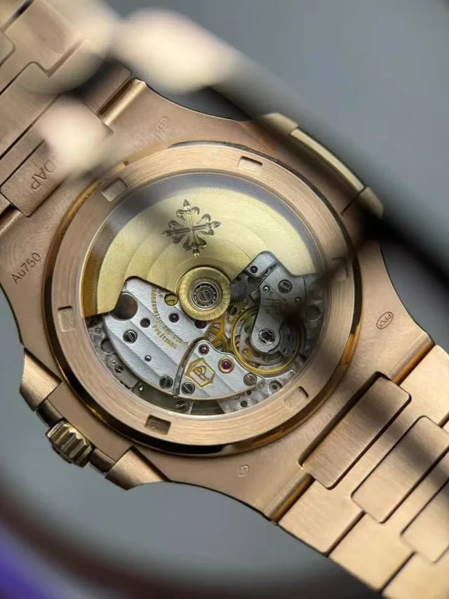  Patek Philippe watch