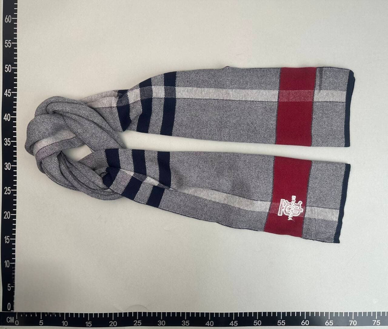 Burberry Scarf
